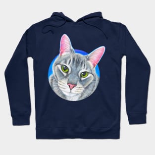 Colorful Grey Tabby Cat Hoodie